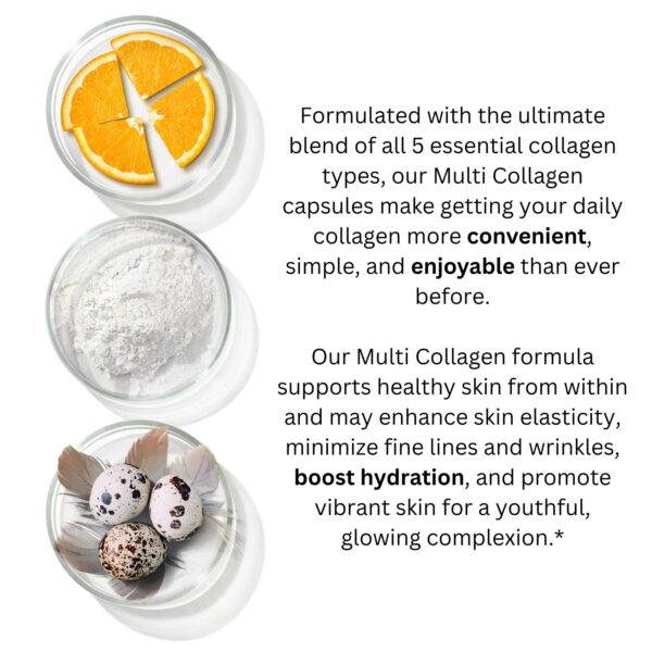 Version 1.0.0 Etiqueta y logotipo de Primal Harvest