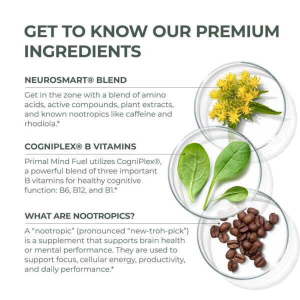 Primal Mind Fuel cápsulas para claridad mental