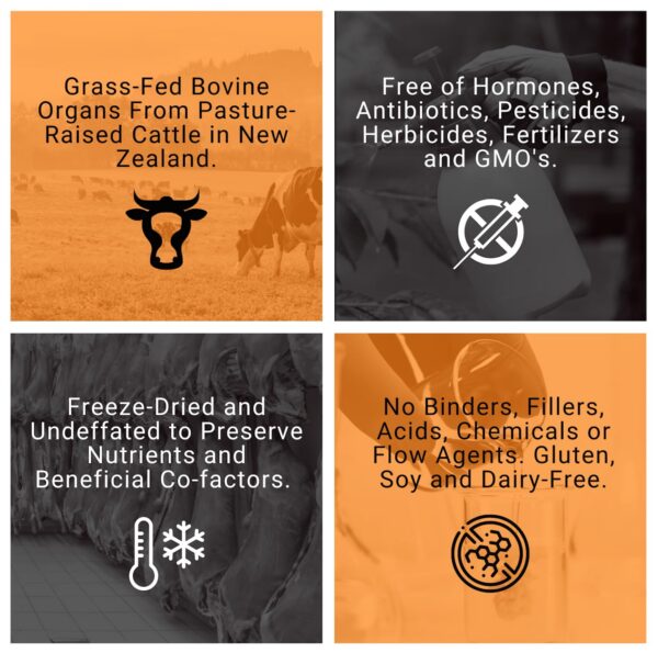 Polvo liofilizado con hígado, corazón y riñón de res