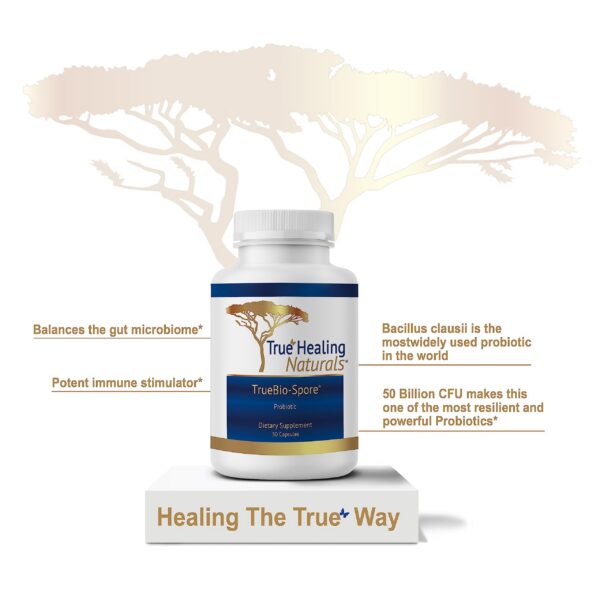 Probiótico cápsulas resistentes microbioma intestinal True Healing Naturals