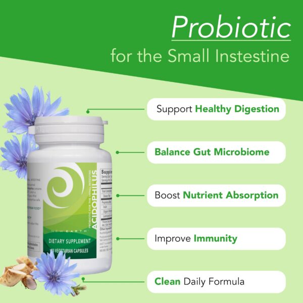 Probiótico New Earth Lactobacillus y prebiótico inulina envase