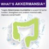 Probióticos Akkermansia Keptrohy para salud intestinal y GLP-1