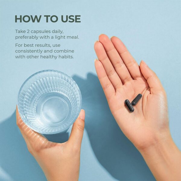 Probióticos y prebióticos Primal Harvest Restore para intestino