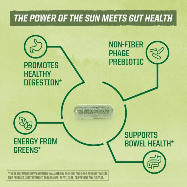 Probióticos Sunwarrior sin soya sin gluten sin lácteos