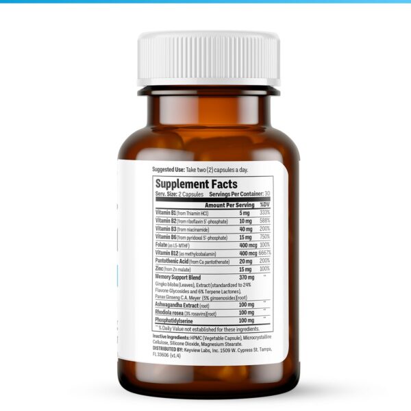 Version 1.0.0 procera advanced brain memoria mejora