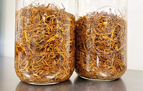 Proceso de extracción dual de Cordyceps