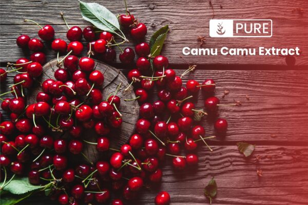 Producto Camu Camu natural exportado de Perú y Brasil
