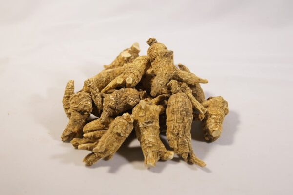 Producto Dorothy27 ginseng Wisconsin raíces 6-8 años