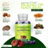 Producto Essentialife Lions Mane para foco mental y energía