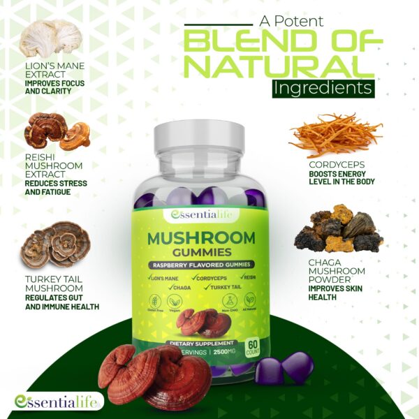 Producto Essentialife Lions Mane para foco mental y energía