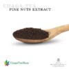 Producto natural de Chaga para salud