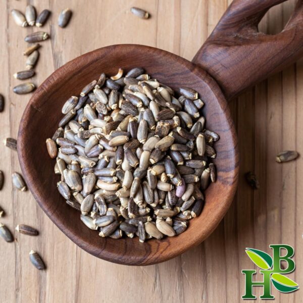 Version 1.0.0 Producto natural polvo cardo mariano Herb To Body 4 onzas