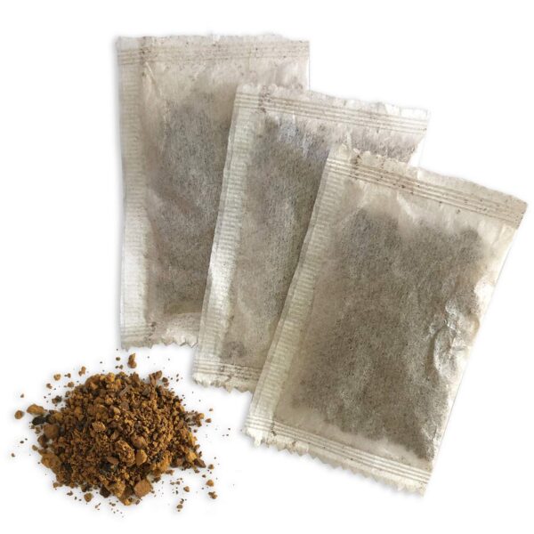 Producto natural de té chaga Maine para preparar infusión
