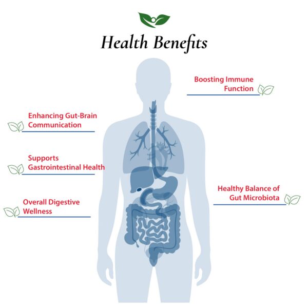 Producto premium probado para soporte inmunológico y digestivo