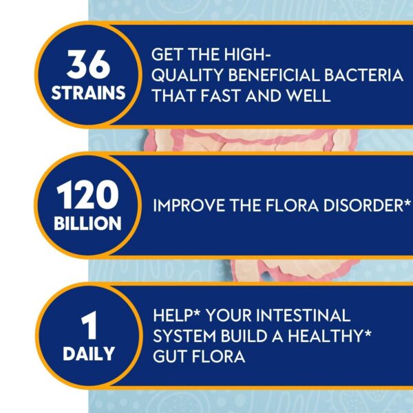 Version 1.0.0 Proriginal cápsulas probióticas prebióticos enzimas digestivas fórmula triple