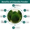 Proteína-vegetal-polvo-chlorella-natural-Hudetex
