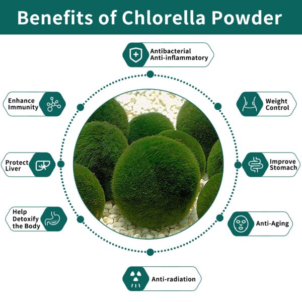Proteína-vegetal-polvo-chlorella-natural-Hudetex
