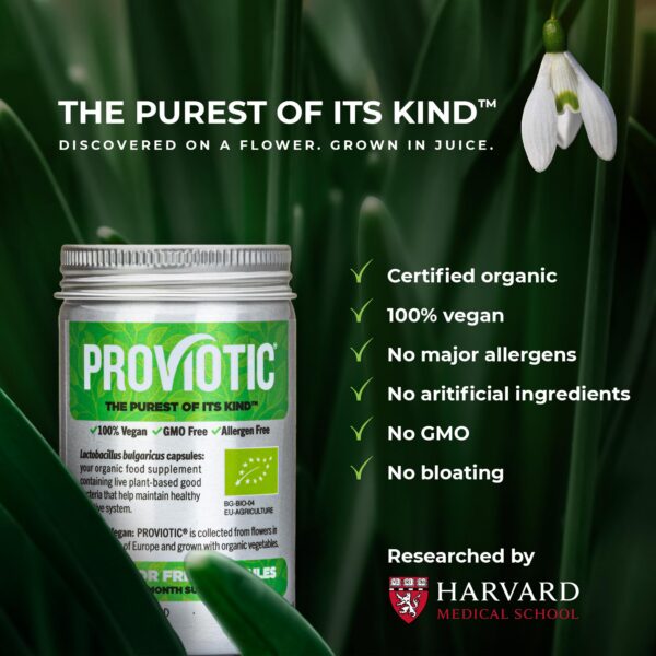 PROVIOTIC probiótico vegano caja lateral ingredientes