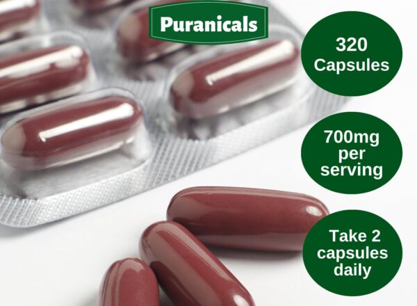 Puranicals suplemento herbal con polvo puro de canela