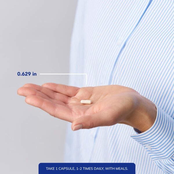 Pure Encapsulations Iron-C interior