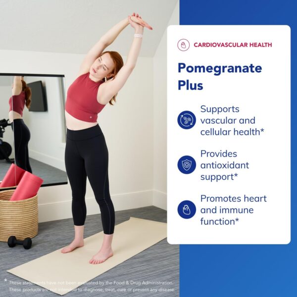 Version 1.0.0 Panel de ingredientes de Pomegranate Plus