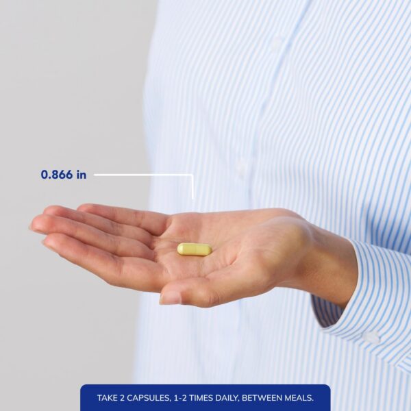 Version 1.0.0 Envase de Pure Encapsulations Quercetin