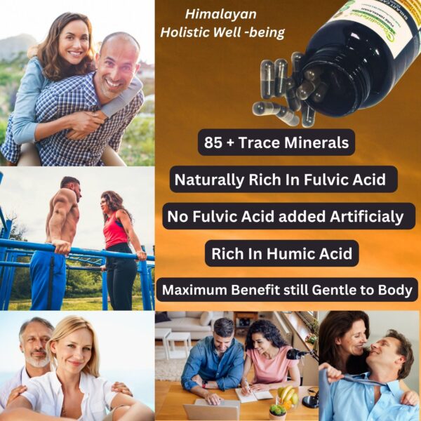 Pure Himalayan Shilajit cápsulas calidad premium 90 ct