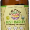 Pure Planet Just Barley polvo orgánico paquete doble 80 porciones