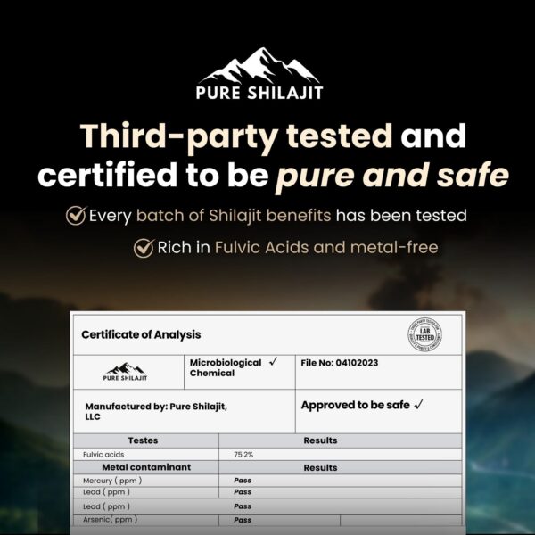 Version 1.0.0 Dosis diaria de Shilajit