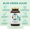 Polvo de algas verde-azules PURE SYNERGY en uso