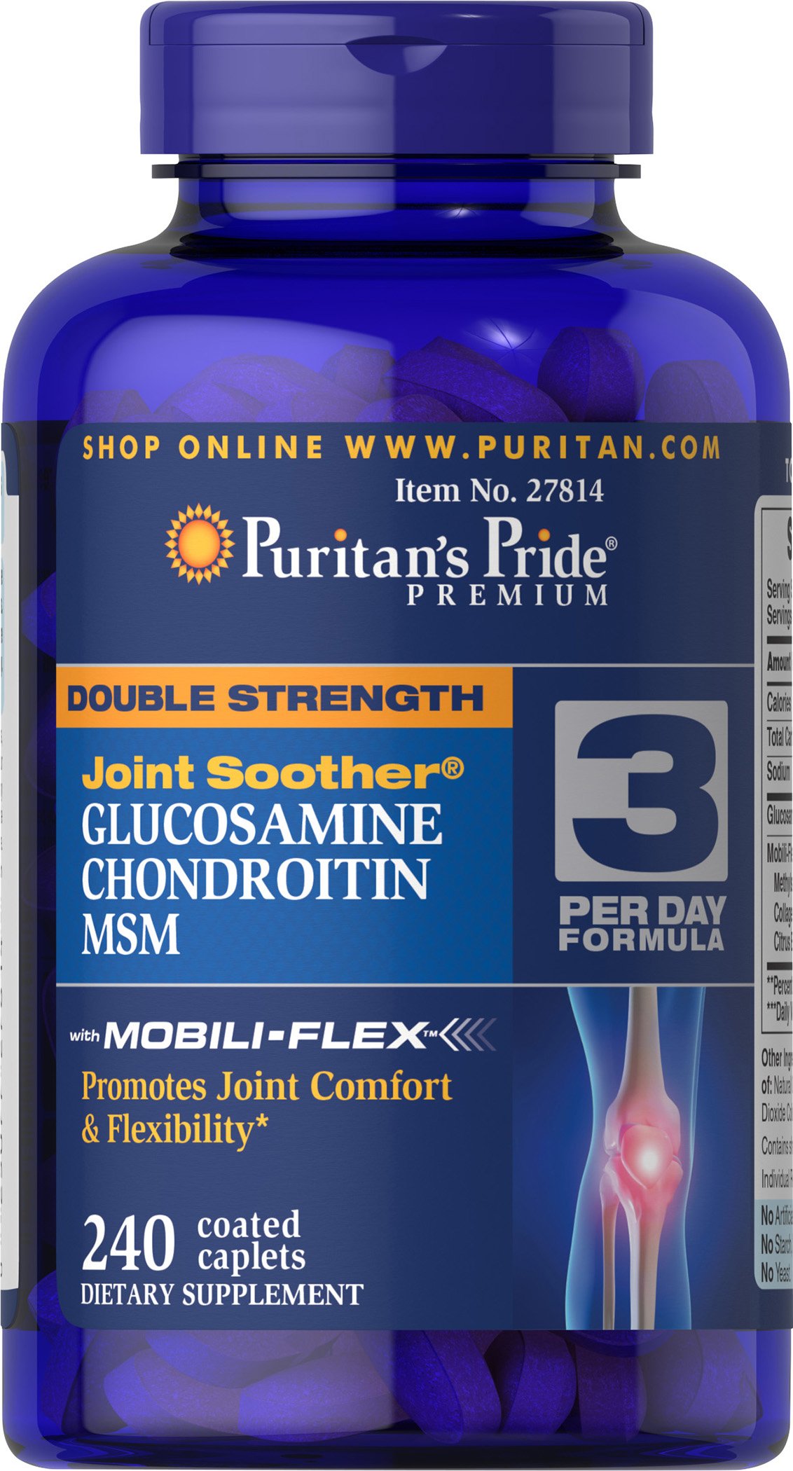 Glucosamine Chondroitin MSM