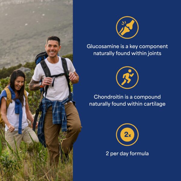 Version 1.0.0 Cápsulas recubiertas glucosamina condroitina MSM