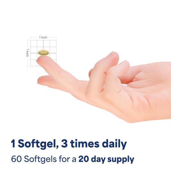 Version 1.0.0 Detalle de la etiqueta lateral