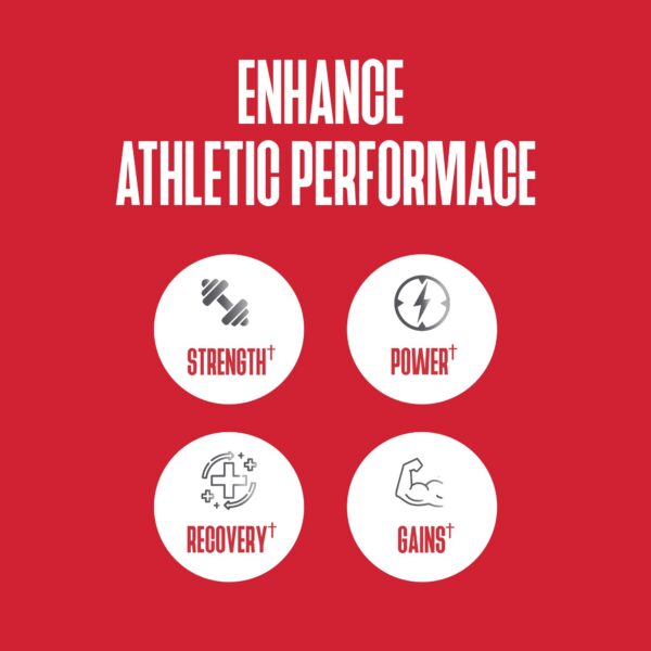 Version 1.0.0 Purus Labs Foundation Series Creatine Powder espalda