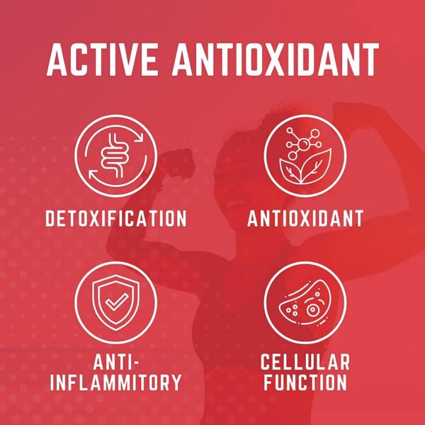 Presentación de Organ Shield en caja