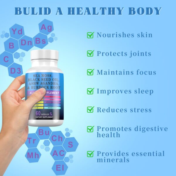 Version 1.0.0 Etiqueta Pyzor destacando ingredientes