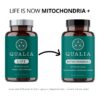 Version 1.0.0 Tabletas Qualia Mitochondria+ para energía celular