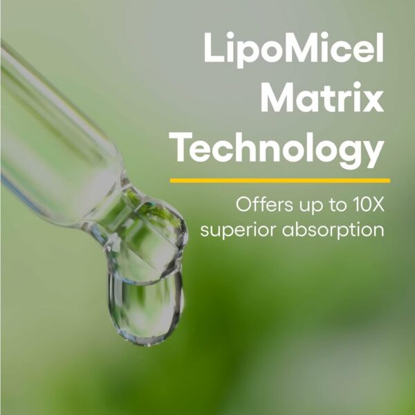 Cápsula blanda de quercetina lipomicel