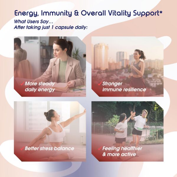 Version 1.0.0 Cápsulas de Quercetina con Bromelain