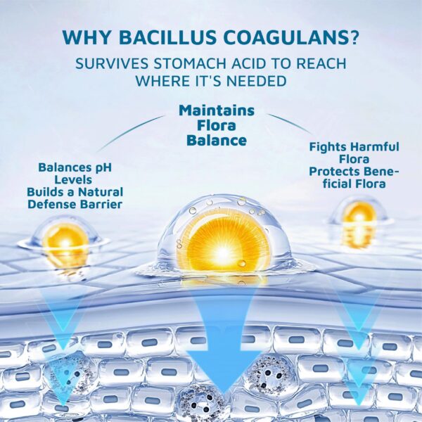 Lata de gomitas piña hawaiana QVQ