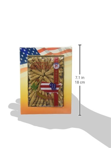 Raíces cultivadas de ginseng americano Hsu's con bolsita de té