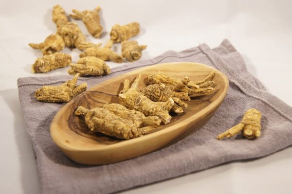 Raíces grandes de ginseng de Wisconsin Dorothy27 1 libra