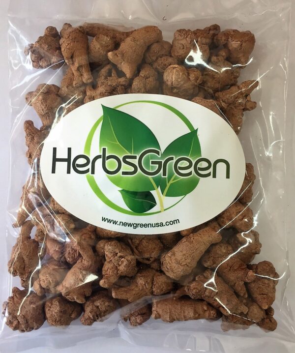 Raíces pequeñas de Panax Notoginseng Tian Qi San Qi de calidad