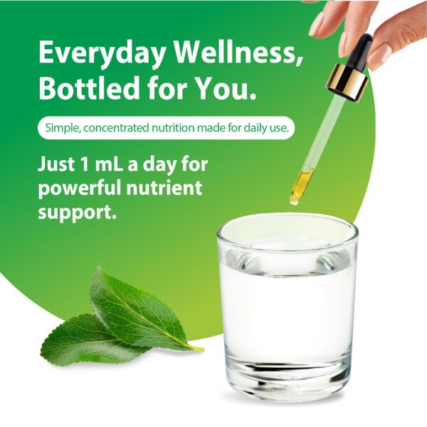 Detalle de porciones y formato