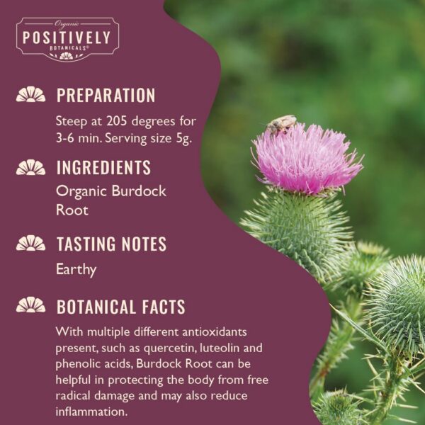 Version 1.0.0 Raíz de bardana orgánica en hojas sueltas para té