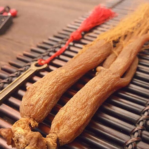 Version 1.0.0 Raíz coreana ginseng rojo 1000g orgánico para té y salud