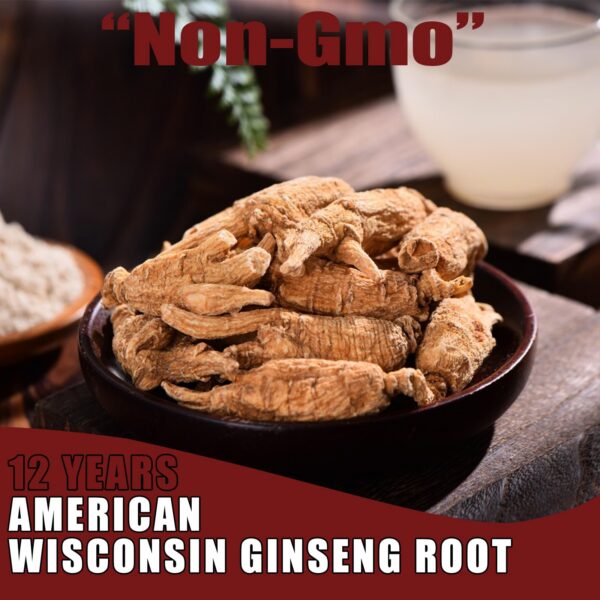 Raíz corta de ginseng americano de 12 años alta calidad