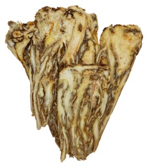 raíz dang gui premium para tonificar sangre