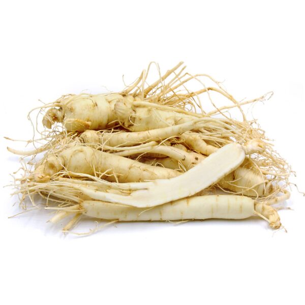 Raíz entera fresca ginseng americano de alta calidad