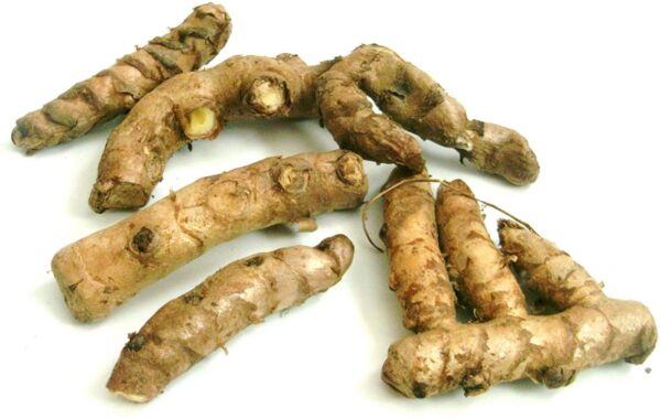 Raíz fresca cúrcuma blanca Amba Haldi 1 libra natural